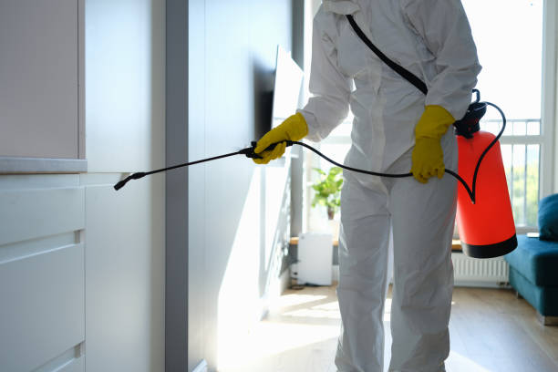 Best Biohazard Mold Removal  in Yulee, FL